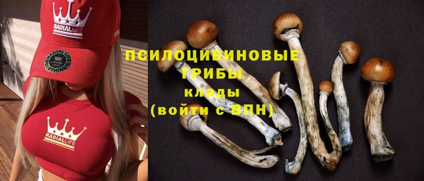 синтетический гашиш Белокуриха