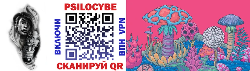 Псилоцибиновые грибы Cubensis  где найти   Невель 